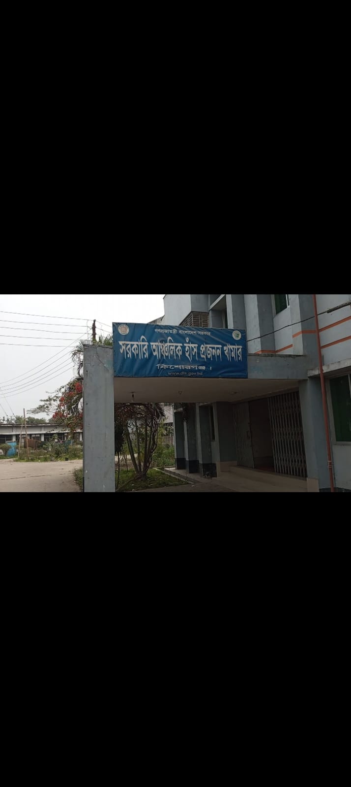 কিশোরগঞ্জ আঞ্চলিক হাঁস খামারে কর্মচারীদের বিরুদ্ধে দুর্নীতির অভিযোগ
