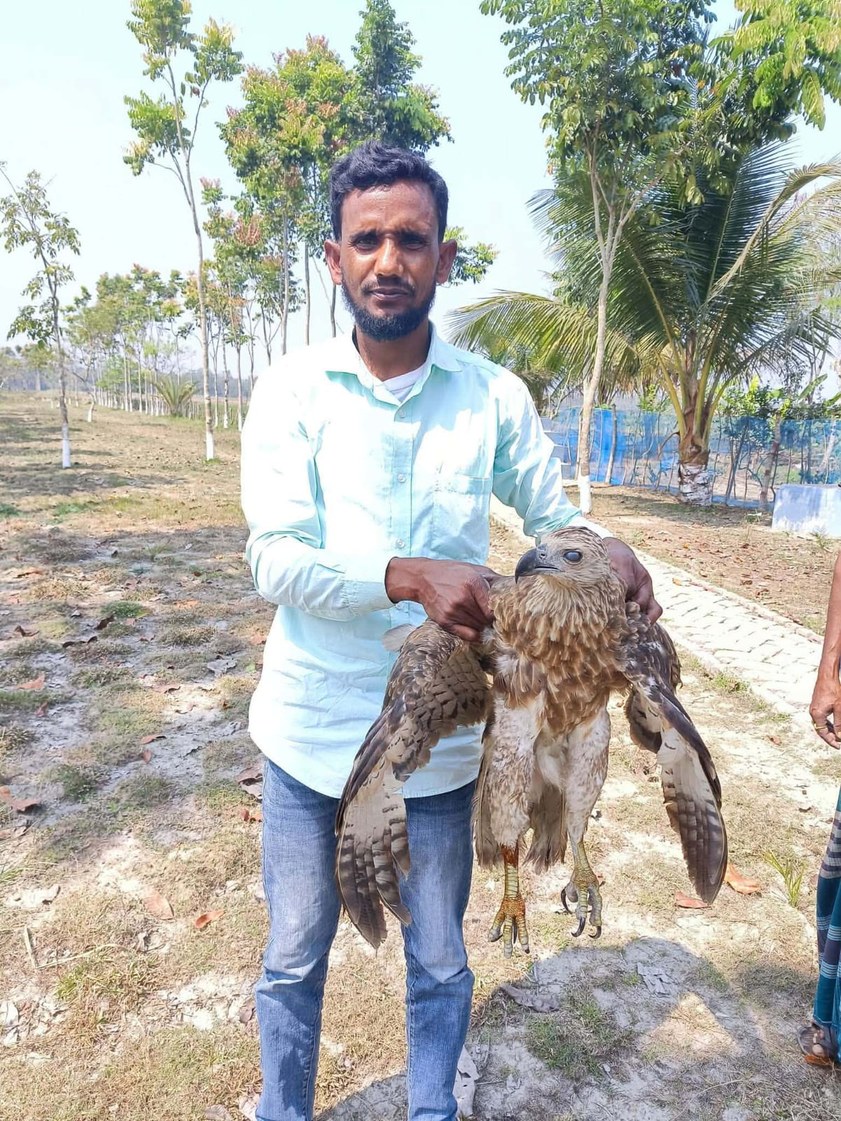 আহত ঈগল পাখি উদ্ধার করে সুস্থ করে বনে অবমুক্ত :