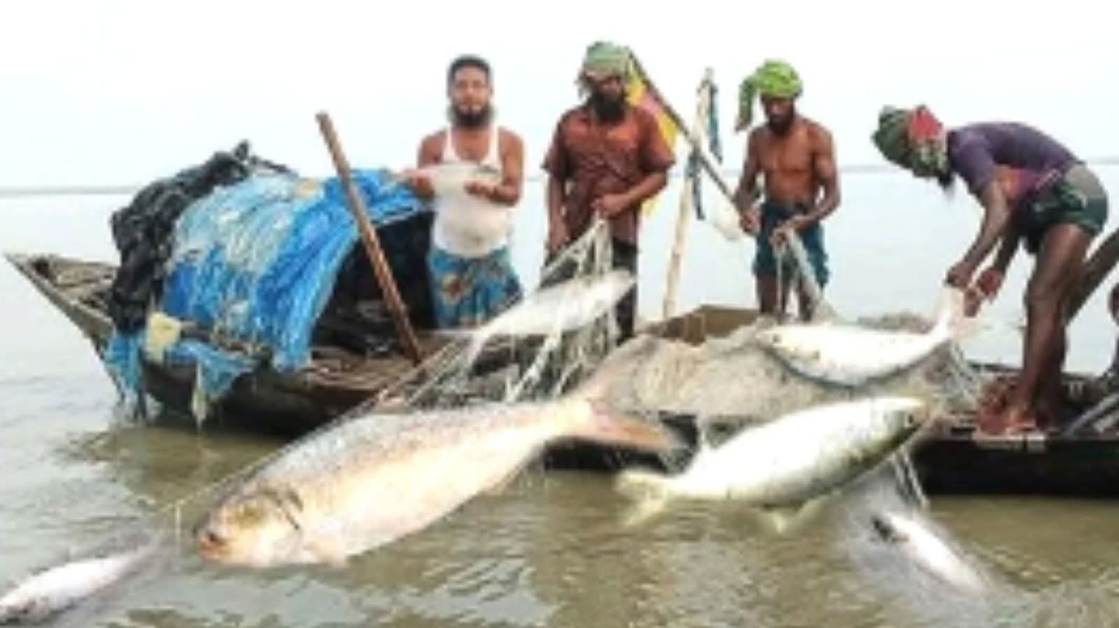 বঙ্গোপসাগরে ৫৮ দিনের মাছ ধরায় নিষেধাজ্ঞা জারি